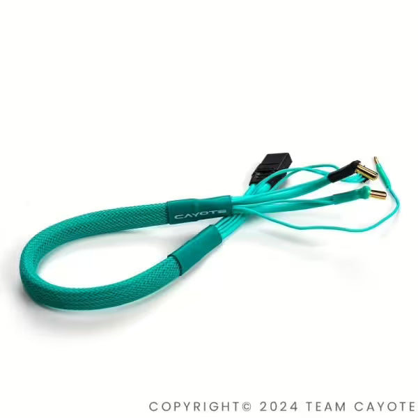 CAYOTE 2S Charging Lead 5mm XT60 450mm Aurora Green